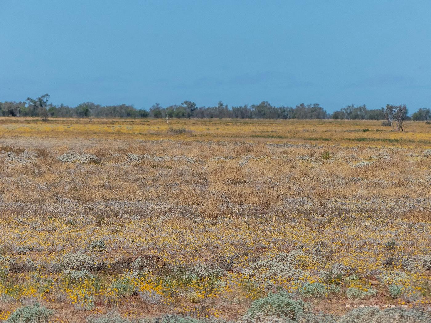 North Australian Tropical Savannas (AU8)