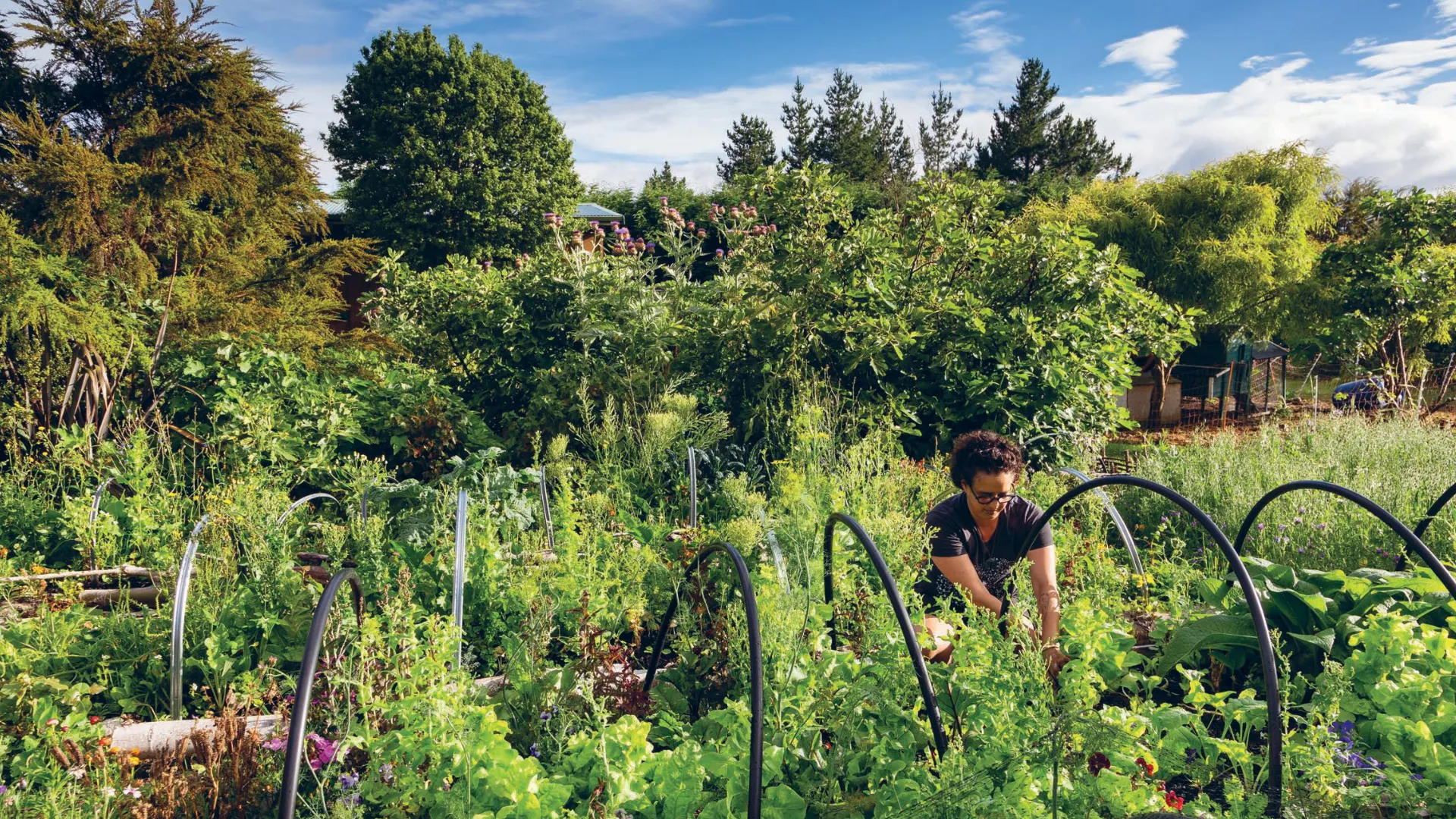 Jessica in the māra at Papawhakaritorito. Māori kai sovereignty is an everyday practice. Photo: Paul McCredie.