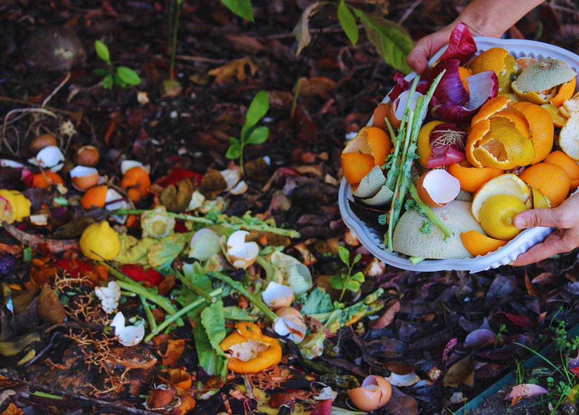 Backyard compost pile. Image Credit: Yesim Sahin from Getty Images via Canva Pro.