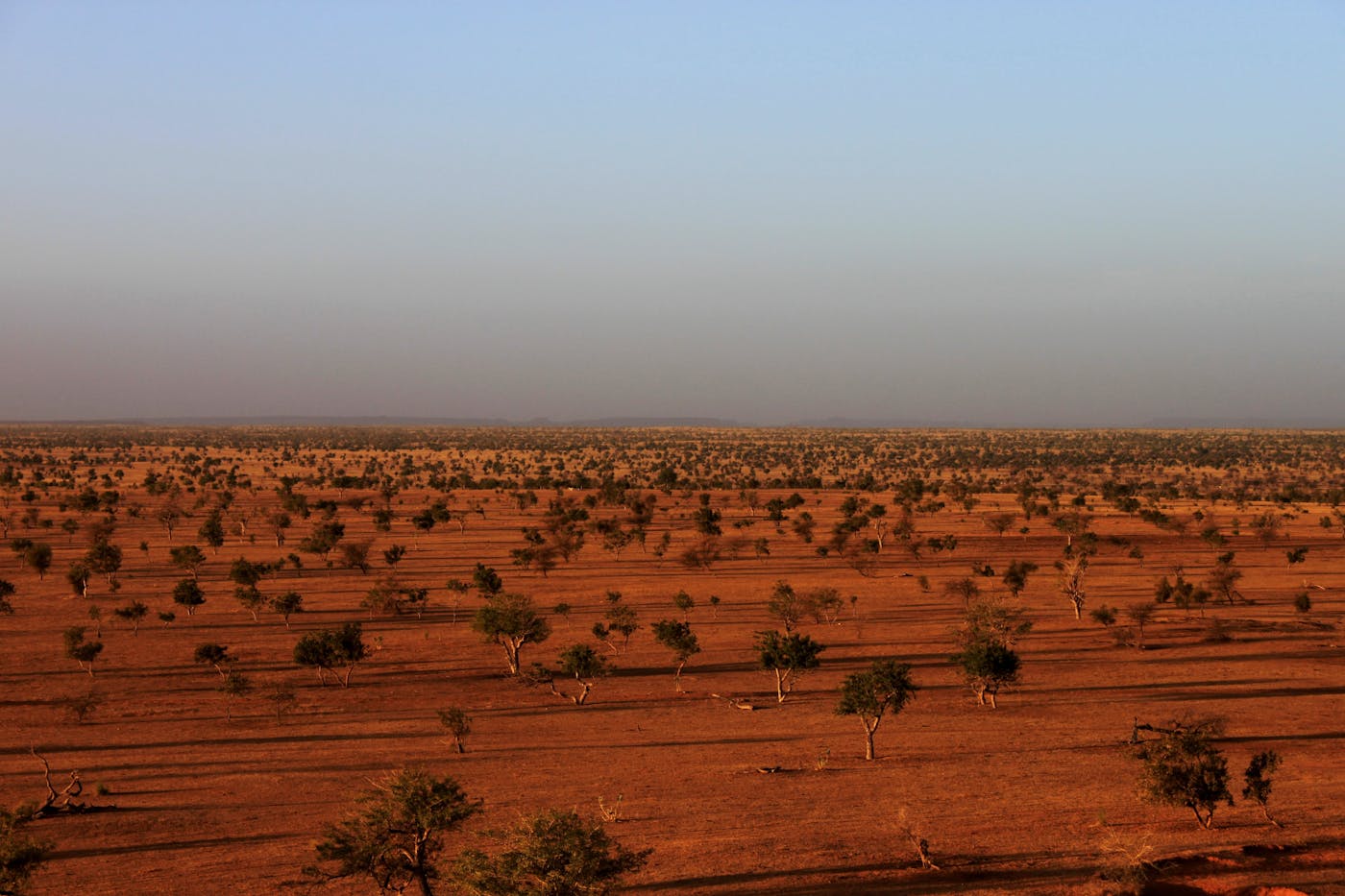 Sahel Acacia Savannas (AT23)
