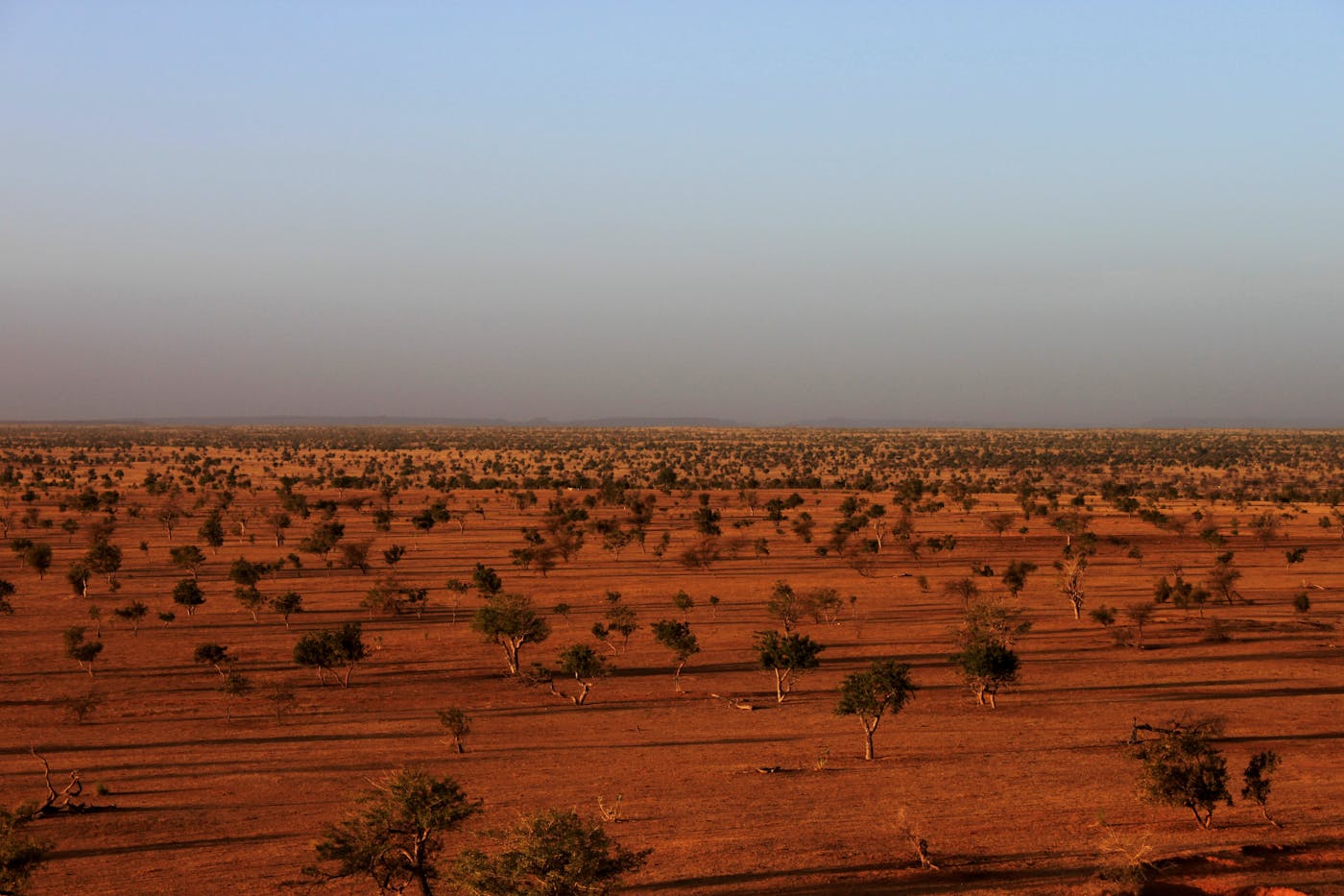 sahel landscape