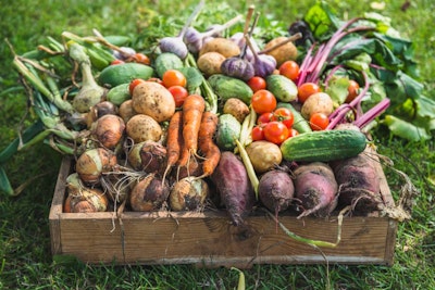 Food Waste Reduction