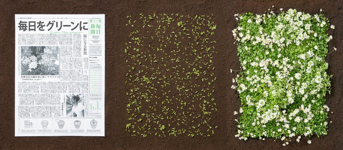 The newspaper that gives back to the Earth - literally