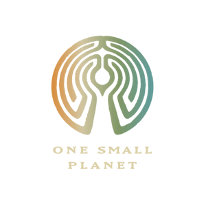 One Small Planet