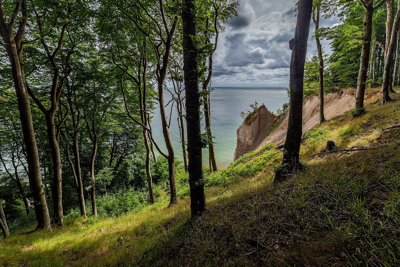 West European Coastal Mixed Forests (PA10)