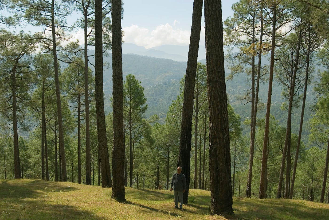 Himalayan Mixed Forests & Grasslands (IM5)
