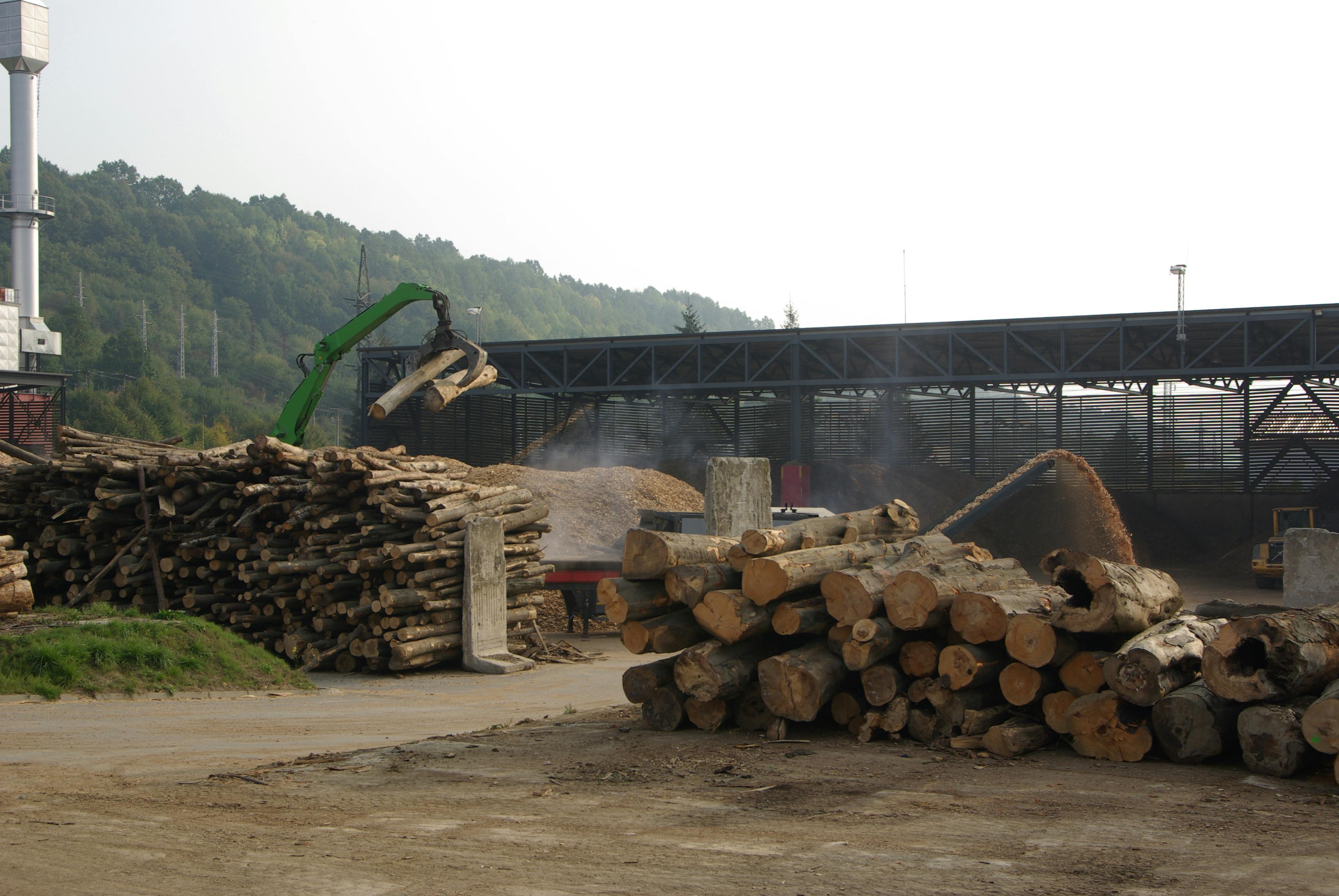 Dangerous delusions biomass is not a renewable energy source One Earth