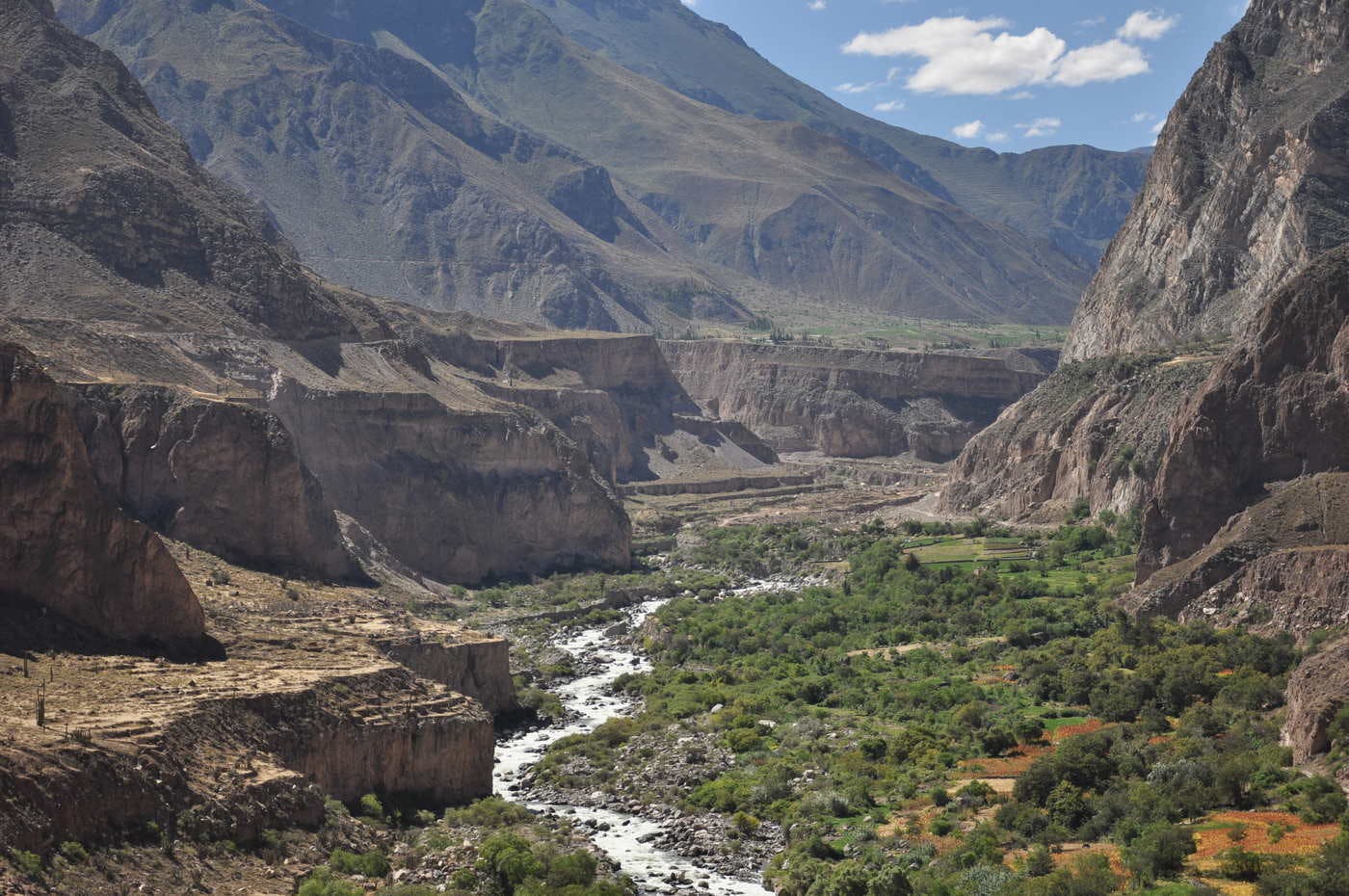 Central Andean Puna | One Earth