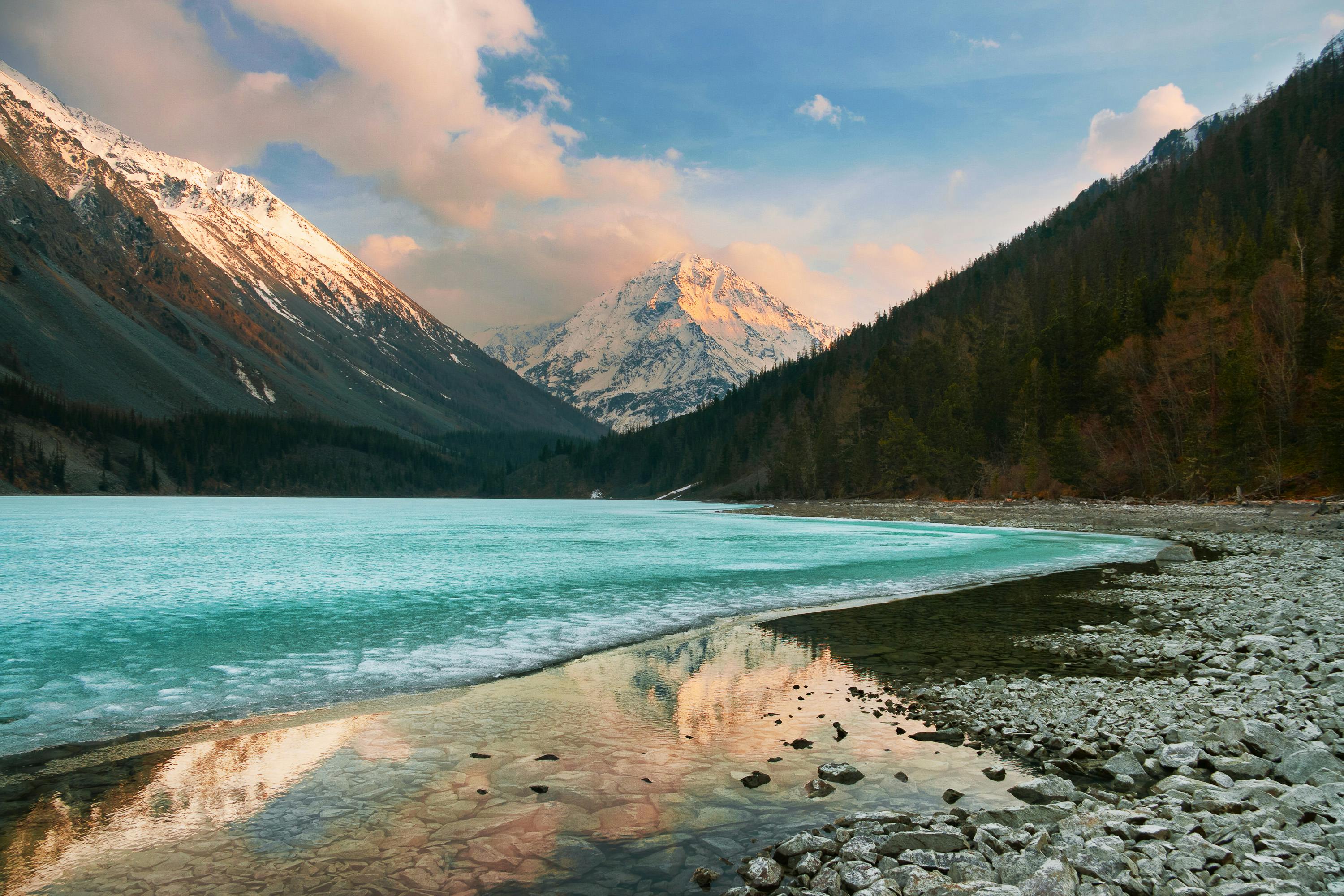 Altai Montane Forest and Forest Steppe | One Earth