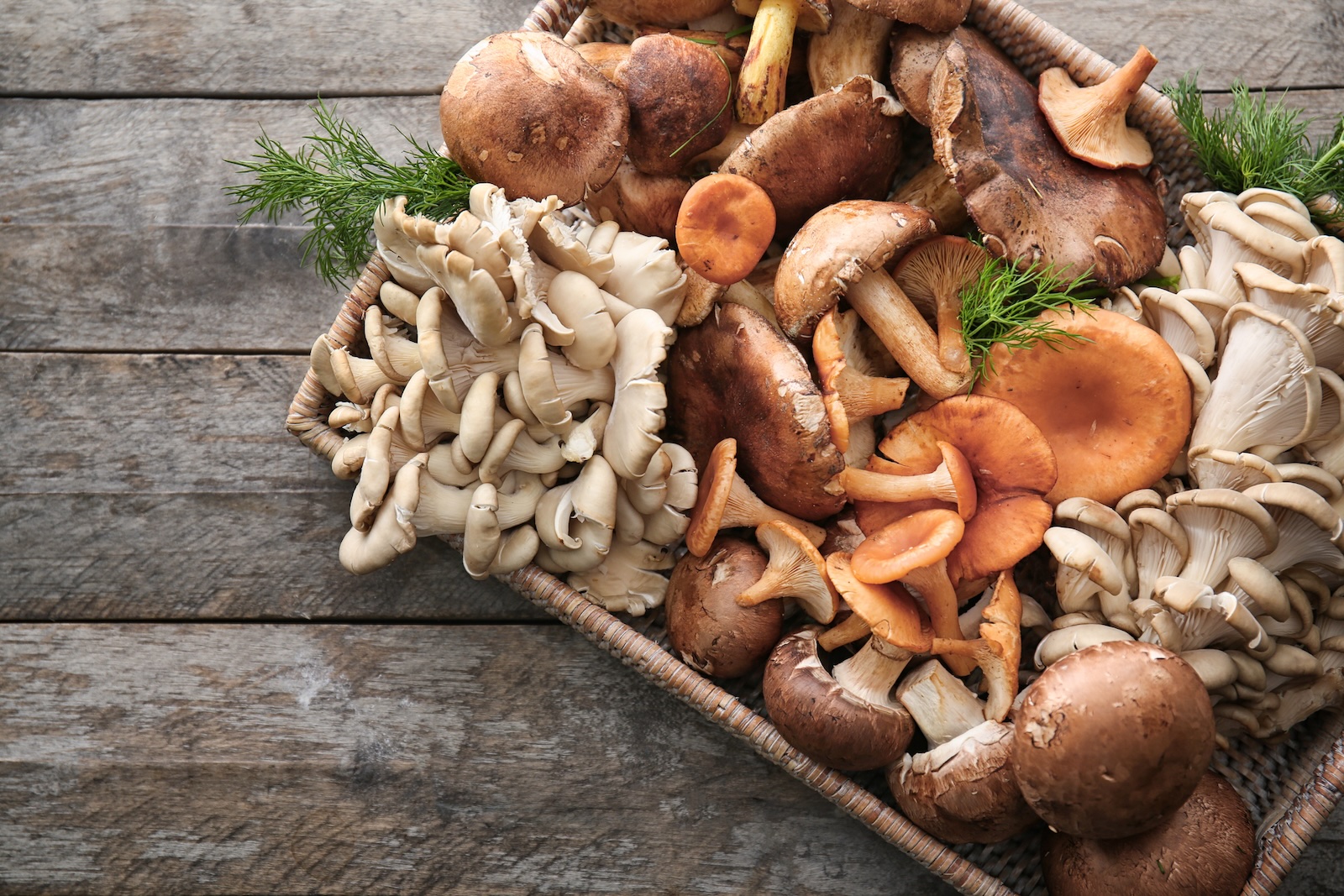 A variety of raw mushrooms. Image credit: © Belchonok | Depositphotos