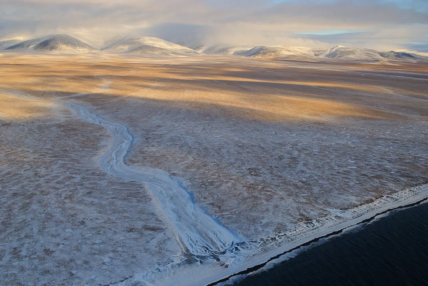 East Eurasian Coastal Tundra (PA5)