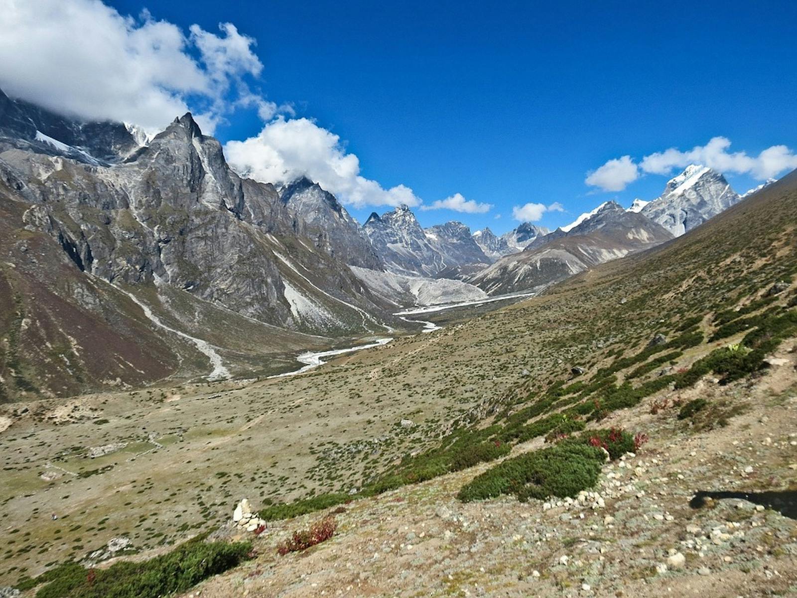 Eastern Himalayan Alpine Shrub and Meadows