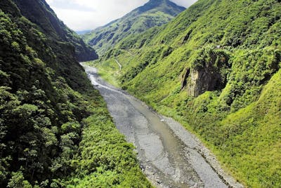 Ecuadorean Dry Coastal Forests & Flooded Grasslands (NT10)