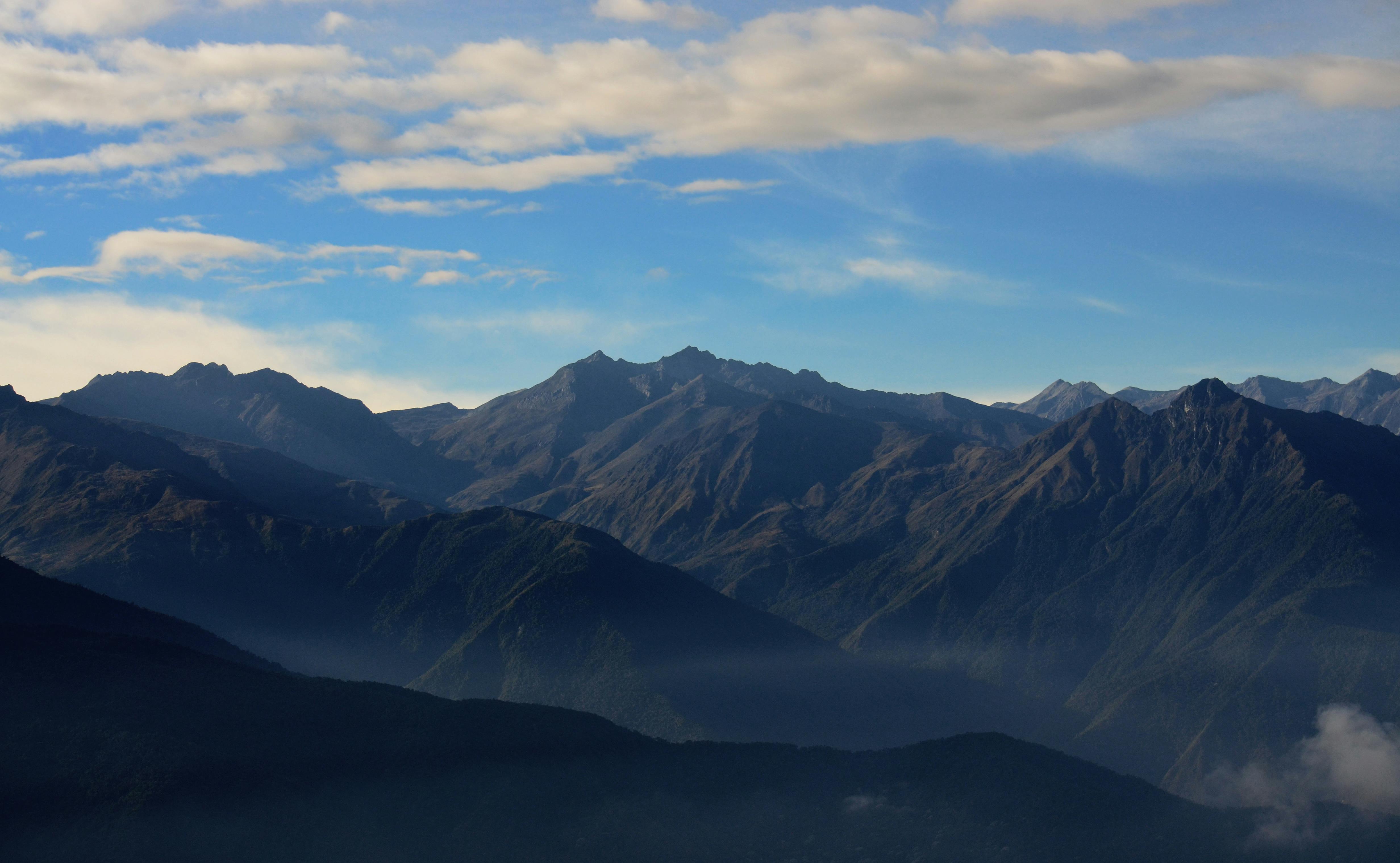 Venezuelan Andes Montane Forests | One Earth