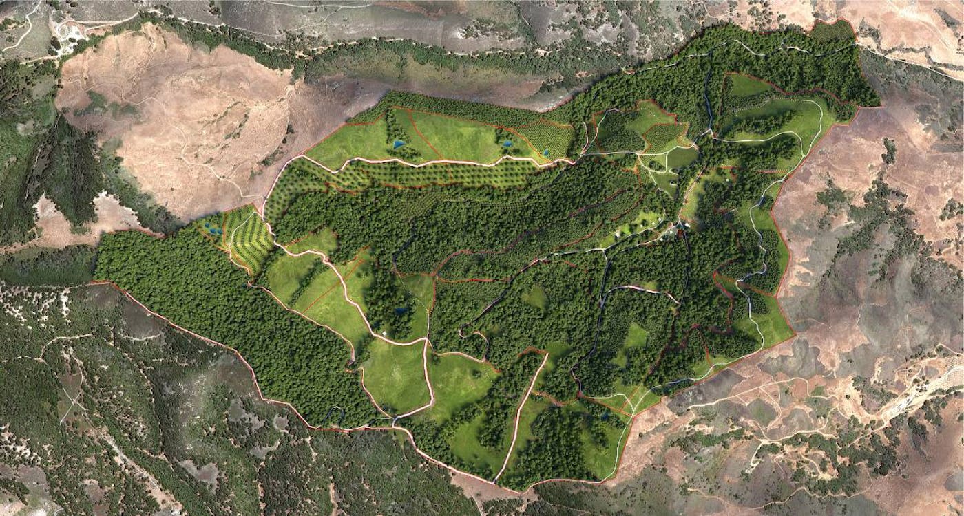Aligning Agriculture and Conservation at the Jalama Canyon Ranch Center in California