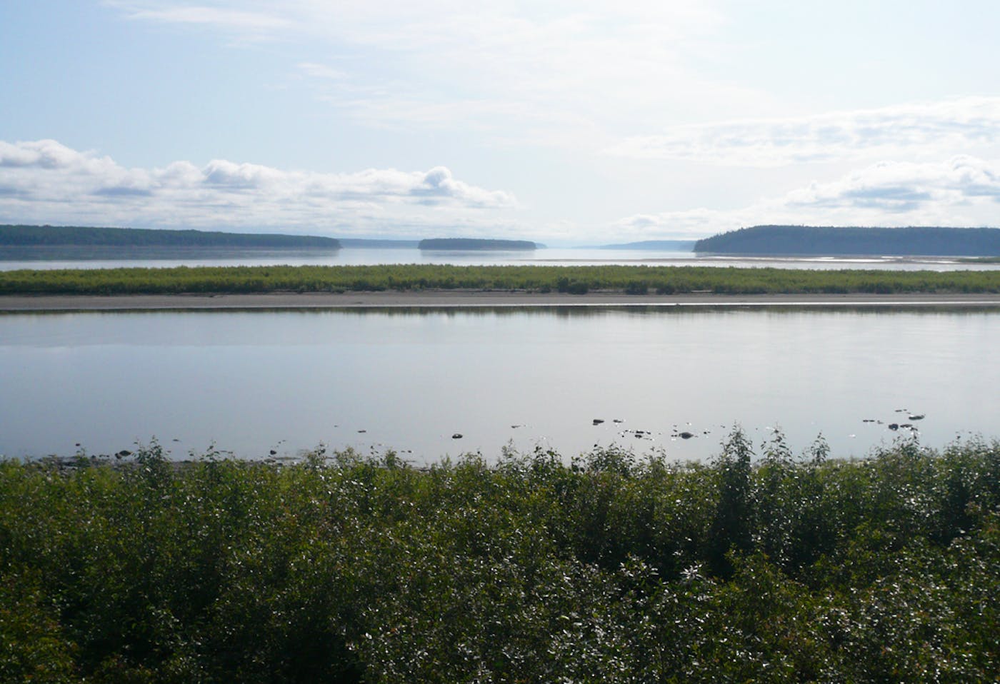 Northwest Canadian Taiga, Lakes, & Wetlands (NA7)