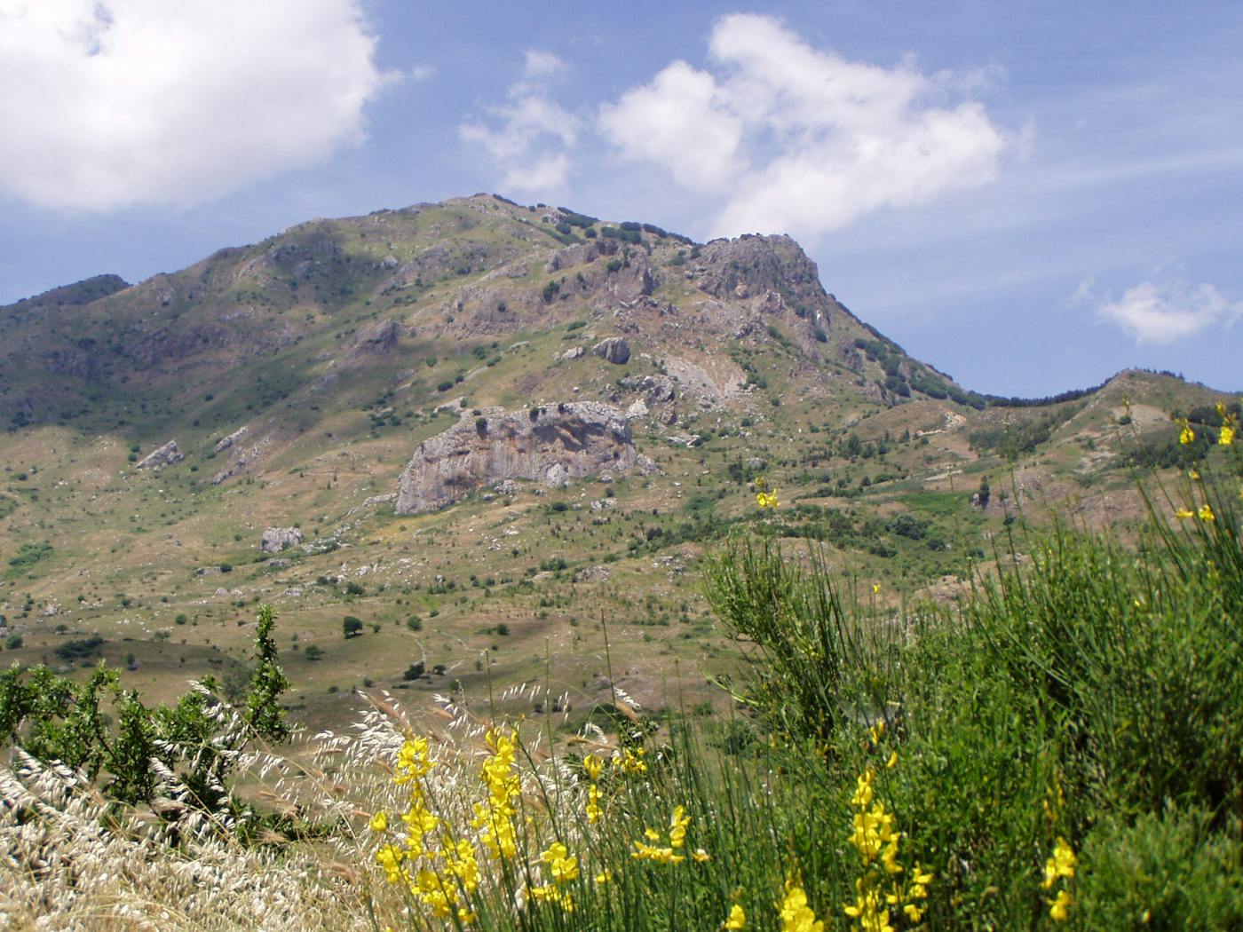 Adriatic Sea & Central Mediterranean Mixed Forests (PA19)