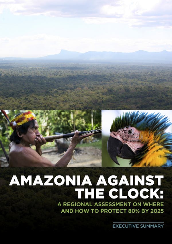 Amazonia Against the Clock