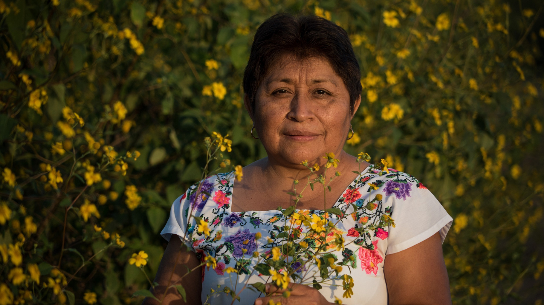 2020 Goldman Environmental Prize winner Leydy Pech surrounded by "flor de tajonal," a source of nectar for bees in the region. Image credit: Courtesy of Goldman Prize