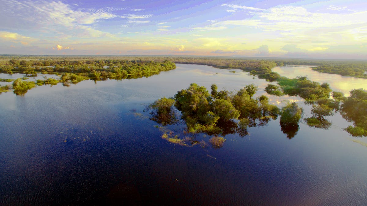Brasil puede salvar a la Amazonía a través de la bioeconomía