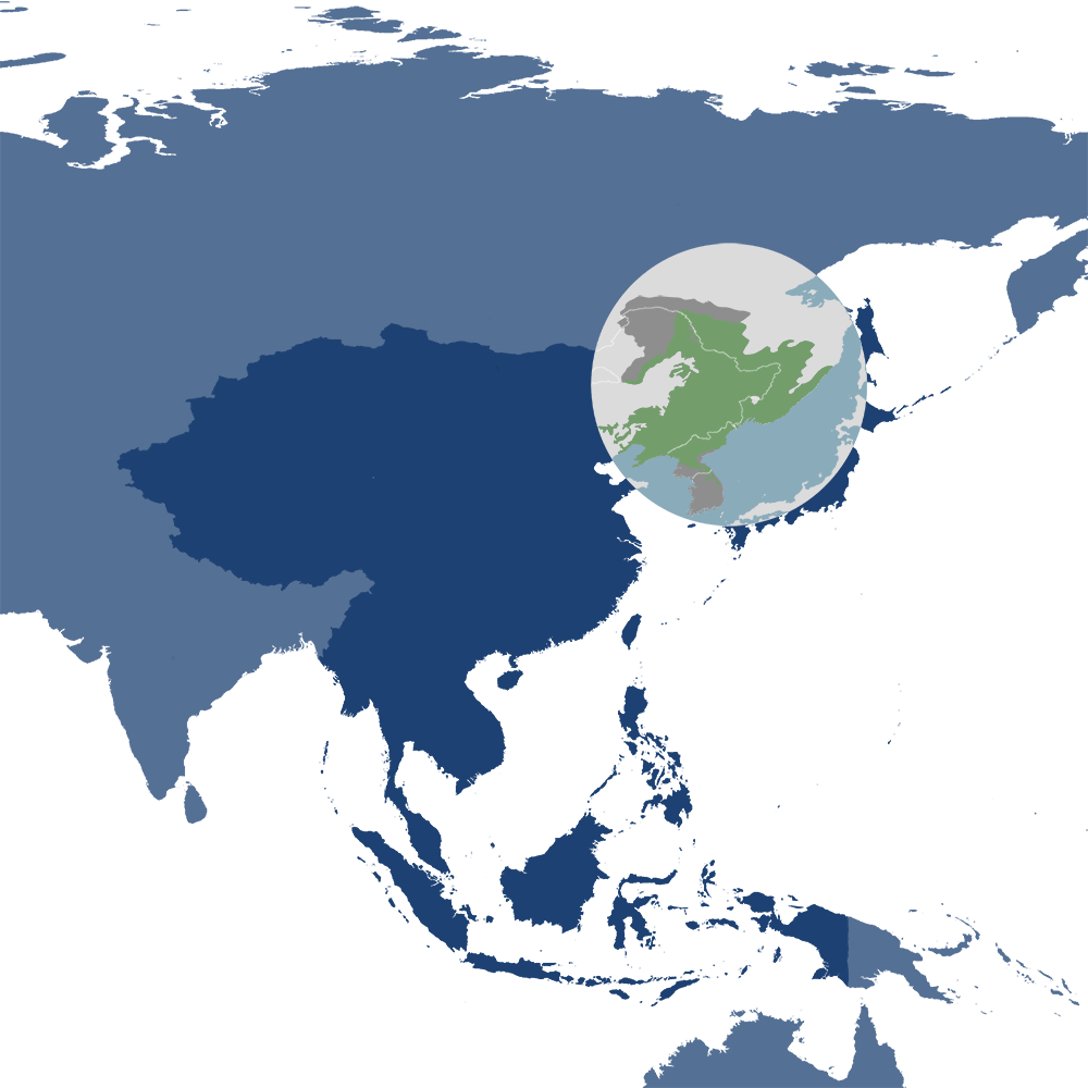 In the One Earth Bioregions Framework, Siberian tigers are the iconic species of the Manchuria-Ussuri Mixed Forests & Meadow Steppes bioregion (PA46), located in the Northeast Asian Forests subrealm of Eastern Eurasia. In the One Earth Bioregions Framework, Siberian tigers are the iconic species of the Manchuria-Ussuri Mixed Forests & Meadow Steppes bioregion (PA46), located in the Northeast Asian Forests subrealm of Eastern Eurasia.