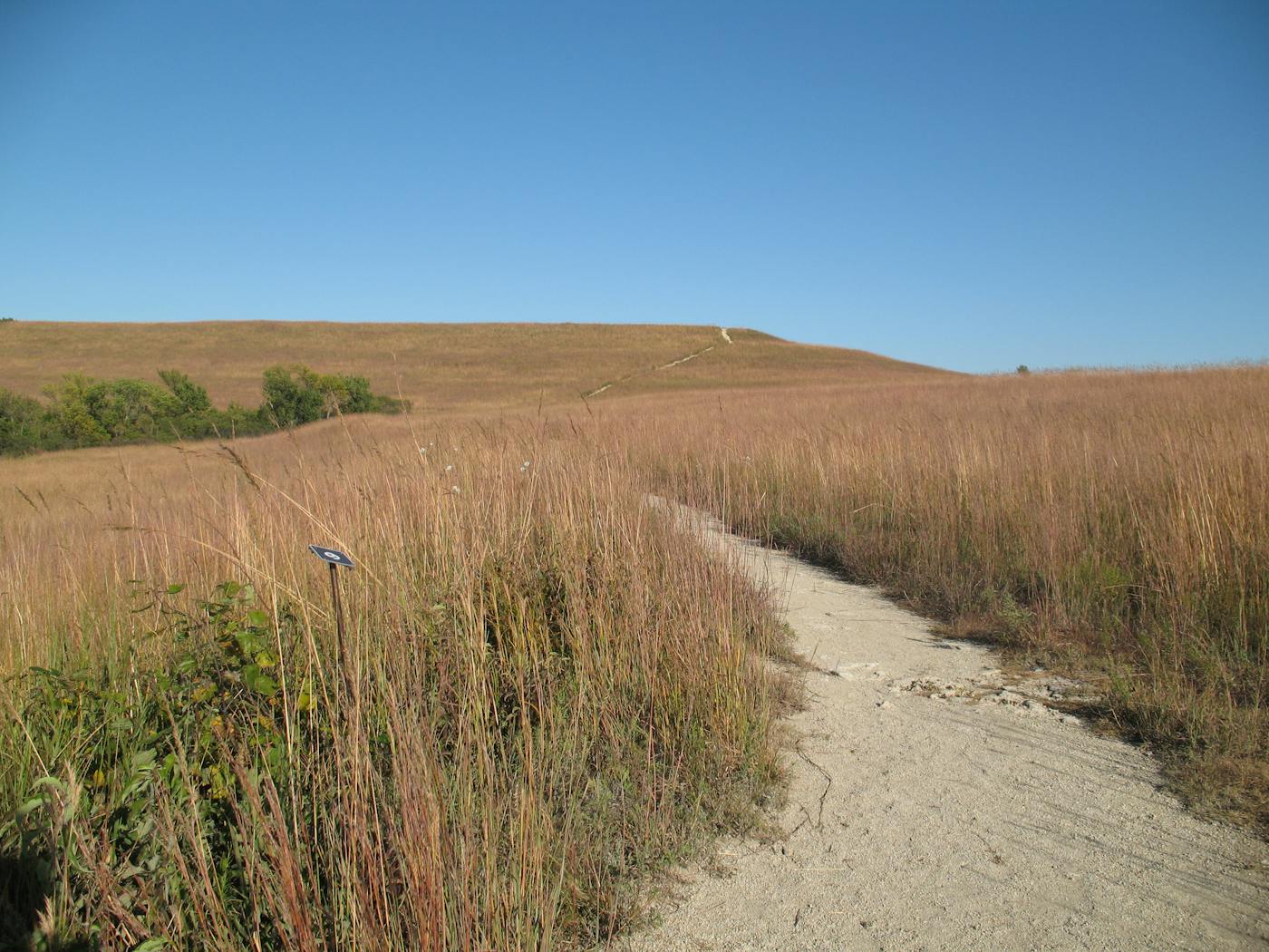 Midwestern Tallgrass Prairie & Forest Transition (NA21)