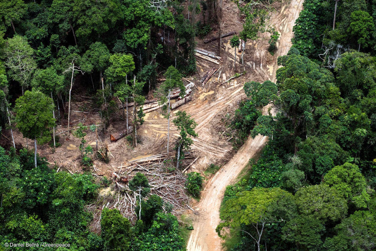 New report reveals industrial expansion threatening Indigenous Lands across the Tropics