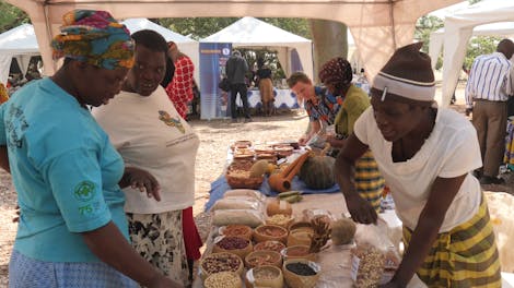 Strengthening the Livelihoods of Smallholder Farmers in Zimbabwe through Seed Sovereignty