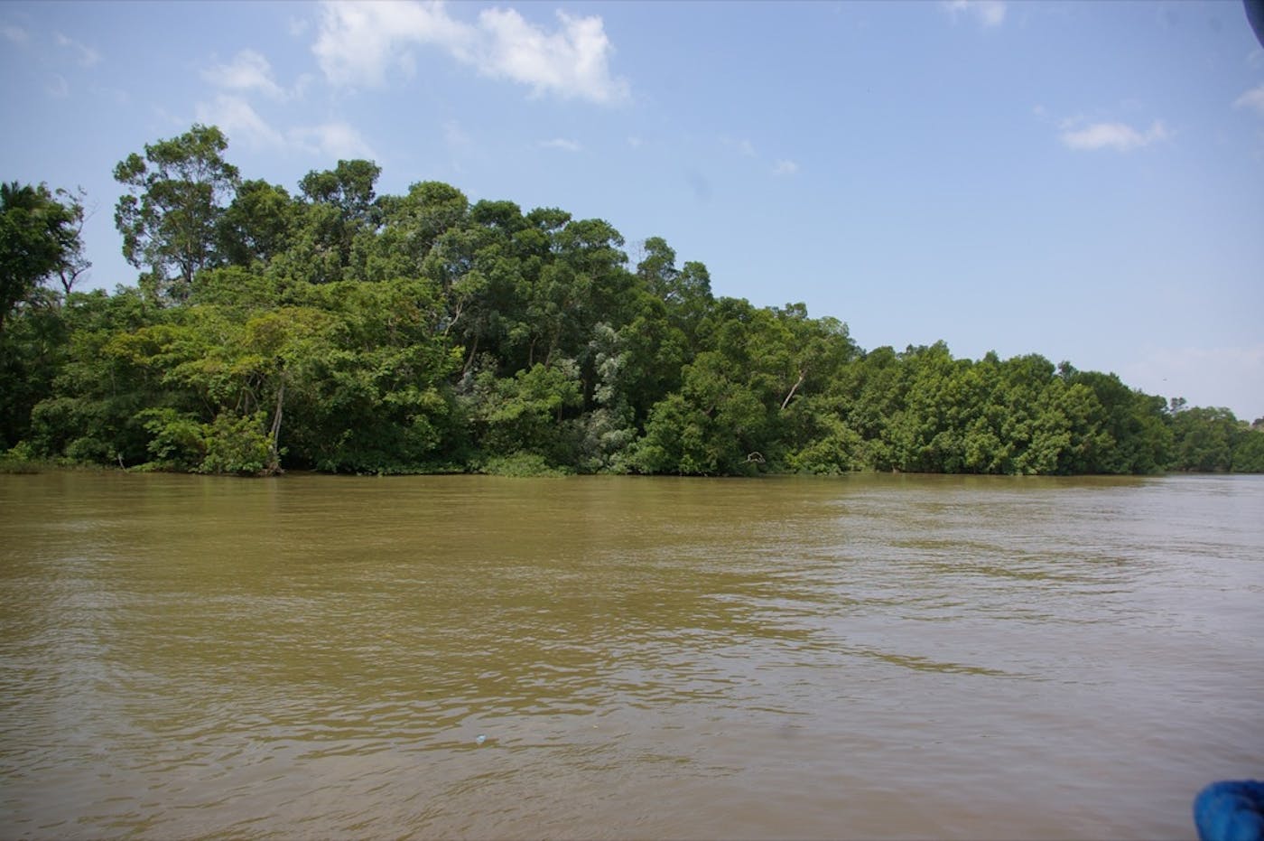 Amazon River Estuary (NT16)
