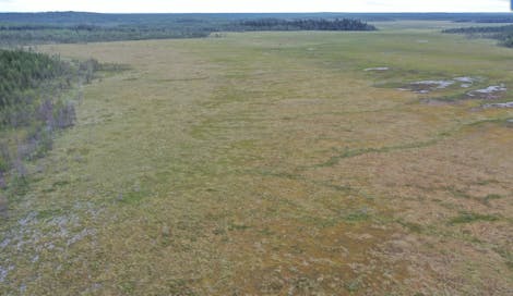Conserving the Carbon Storehouse in the Peatlands of Karhusuo, Finland