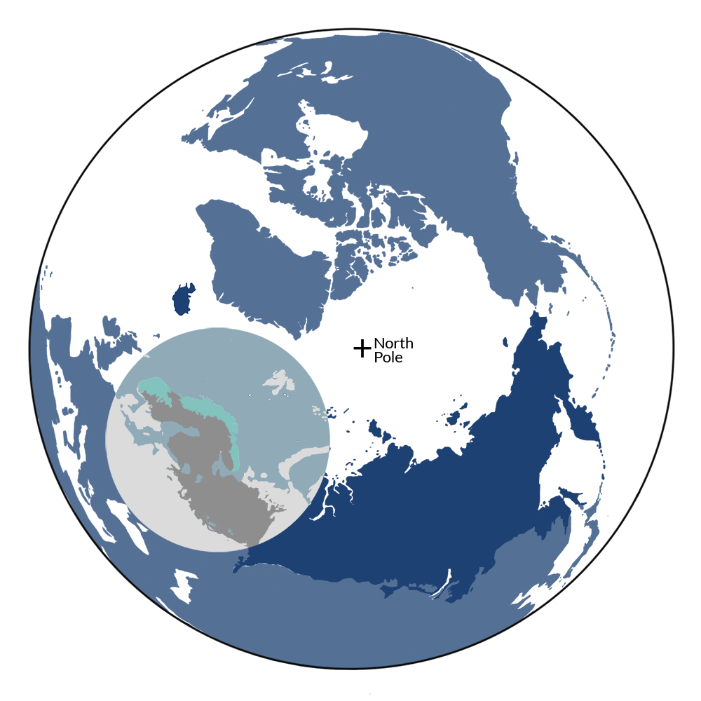The Norway lemming is the iconic species of the Scandinavian Birch & Coastal Conifer Forests bioregion (PA3), located in the Scandinavia & West Boreal Forests subrealm of Subarctic Eurasia. The Norway lemming is the iconic species of the Scandinavian Birch & Coastal Conifer Forests bioregion (PA3), located in the Scandinavia & West Boreal Forests subrealm of Subarctic Eurasia.