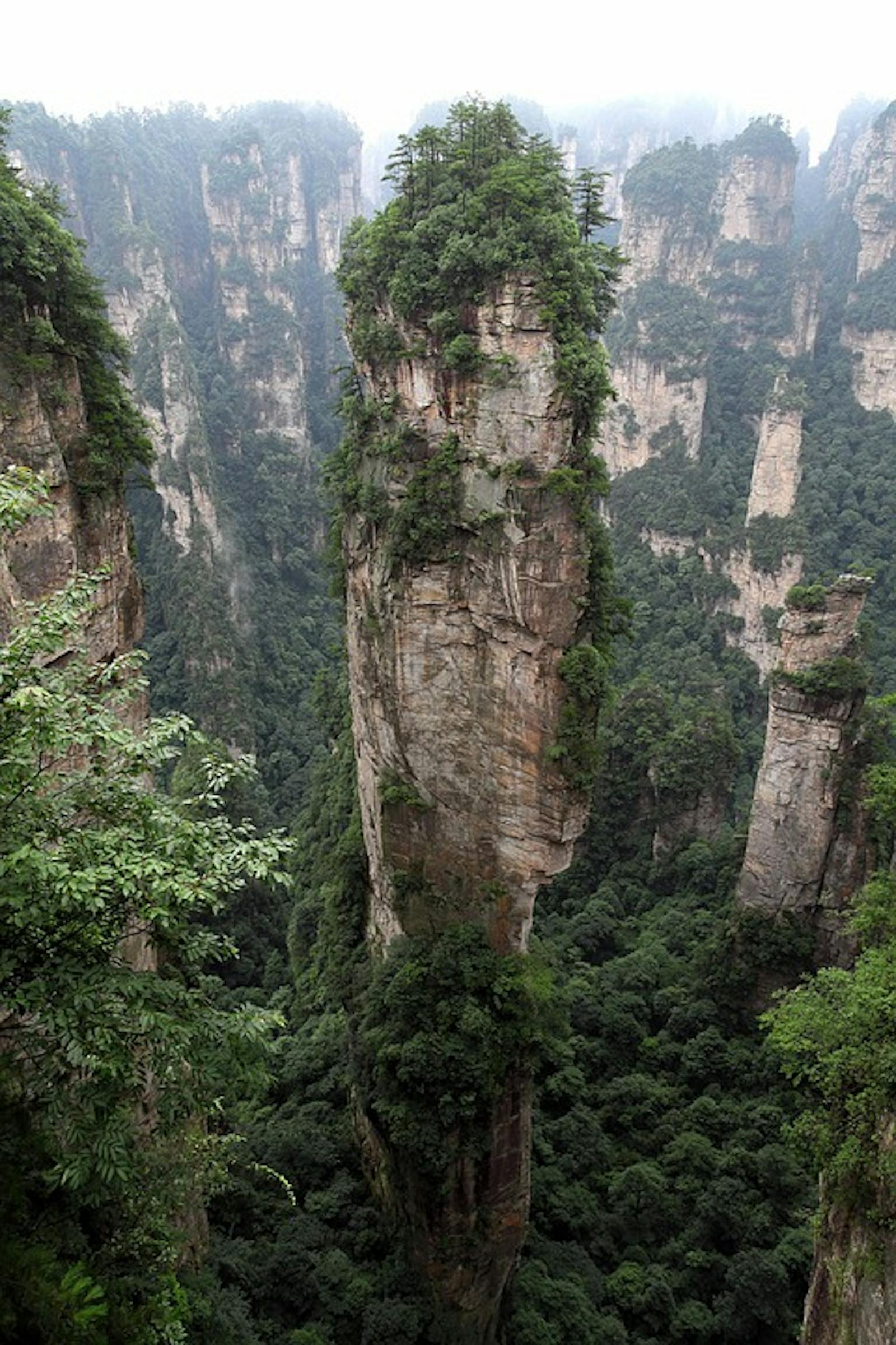 Guizhou Plateau Broadleaf and Mixed Forests