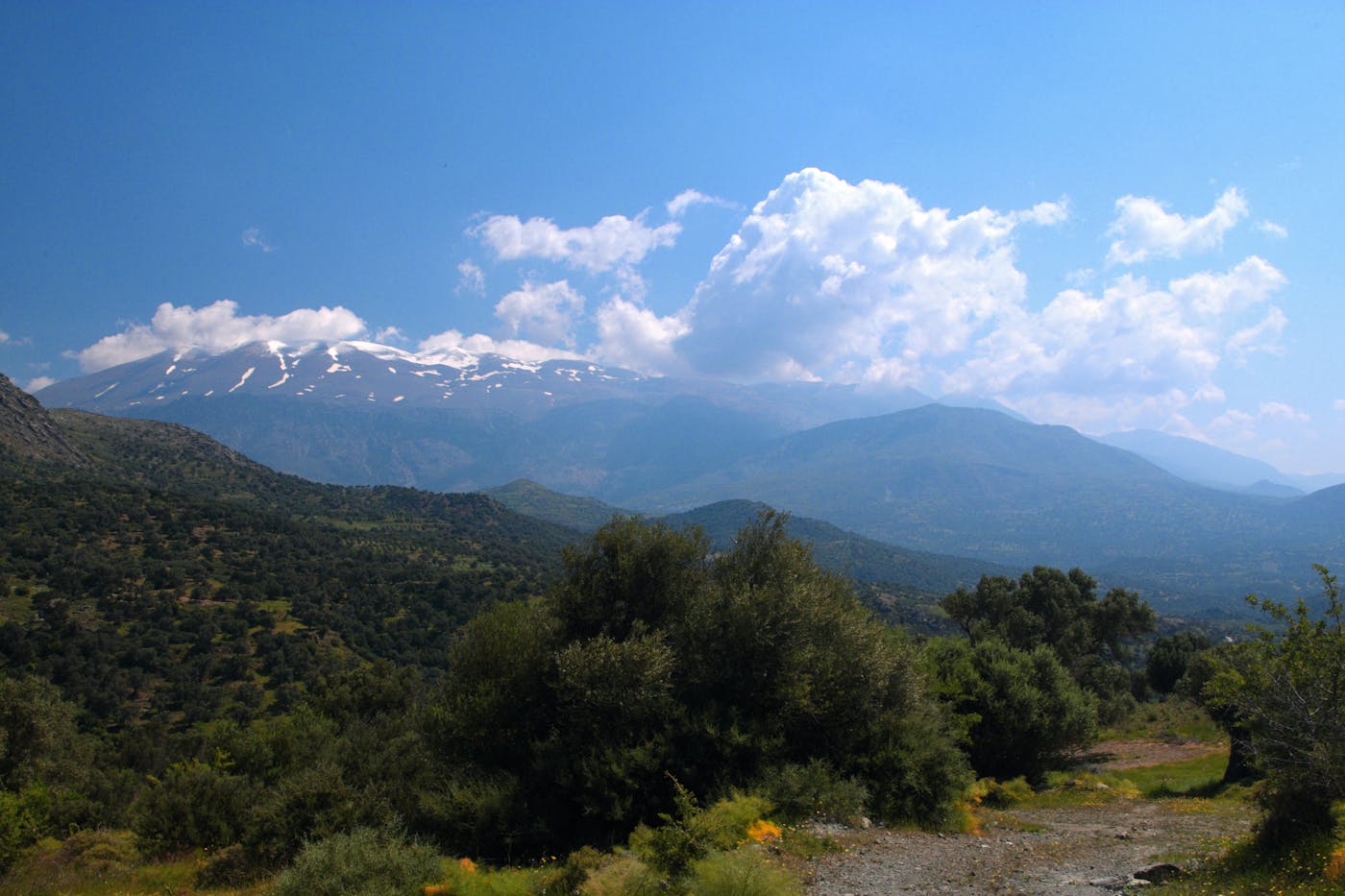 Aegean Sea & East Mediterranean Mixed Forests (PA18)