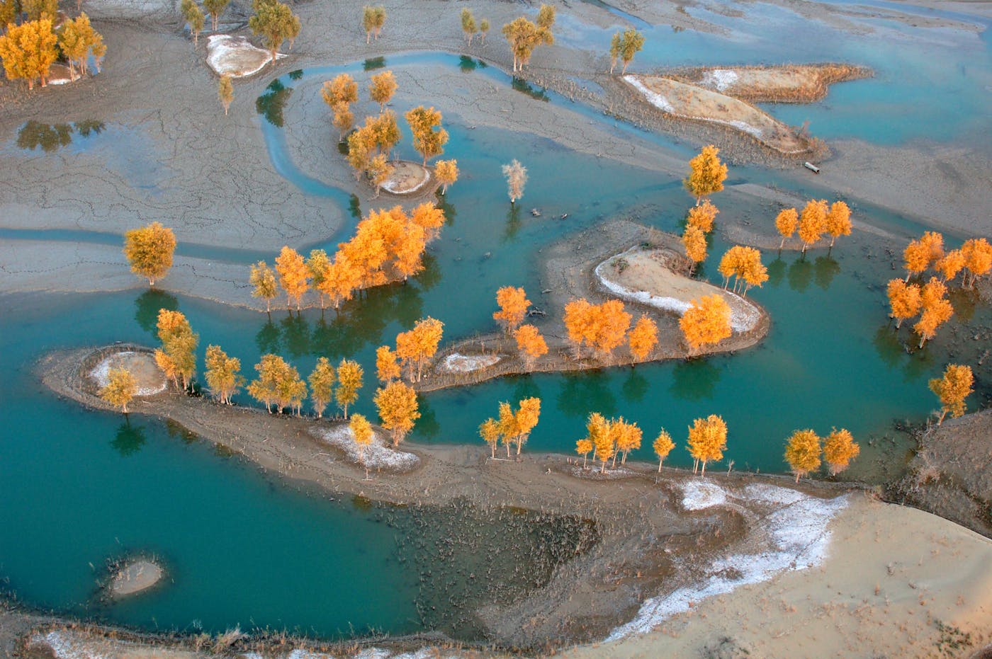 Taklimakan Desert & Lowland Deciduous Forests (PA39)