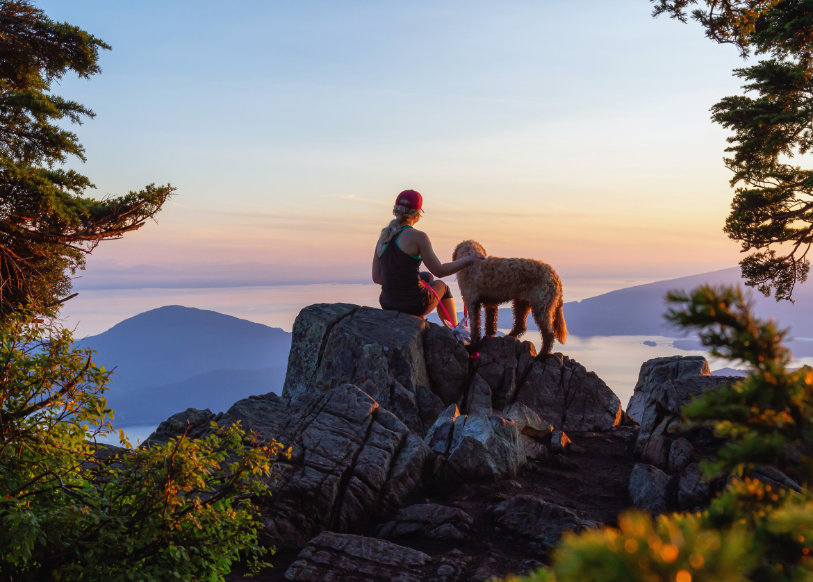 Always pick up after your pup too—dog waste is not native to most ecosystems and can disrupt wild habitats. Image Credit: Edb3_16 from Getty Images, Canva Pro.