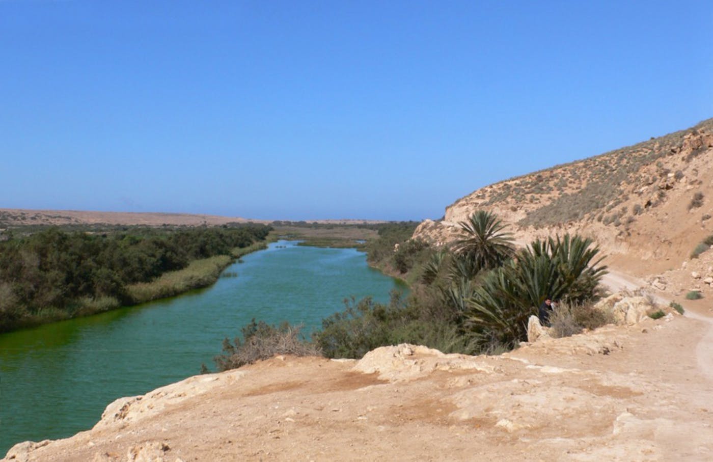 Northern Sahara Deserts, Savannas & Marshes (PA24)