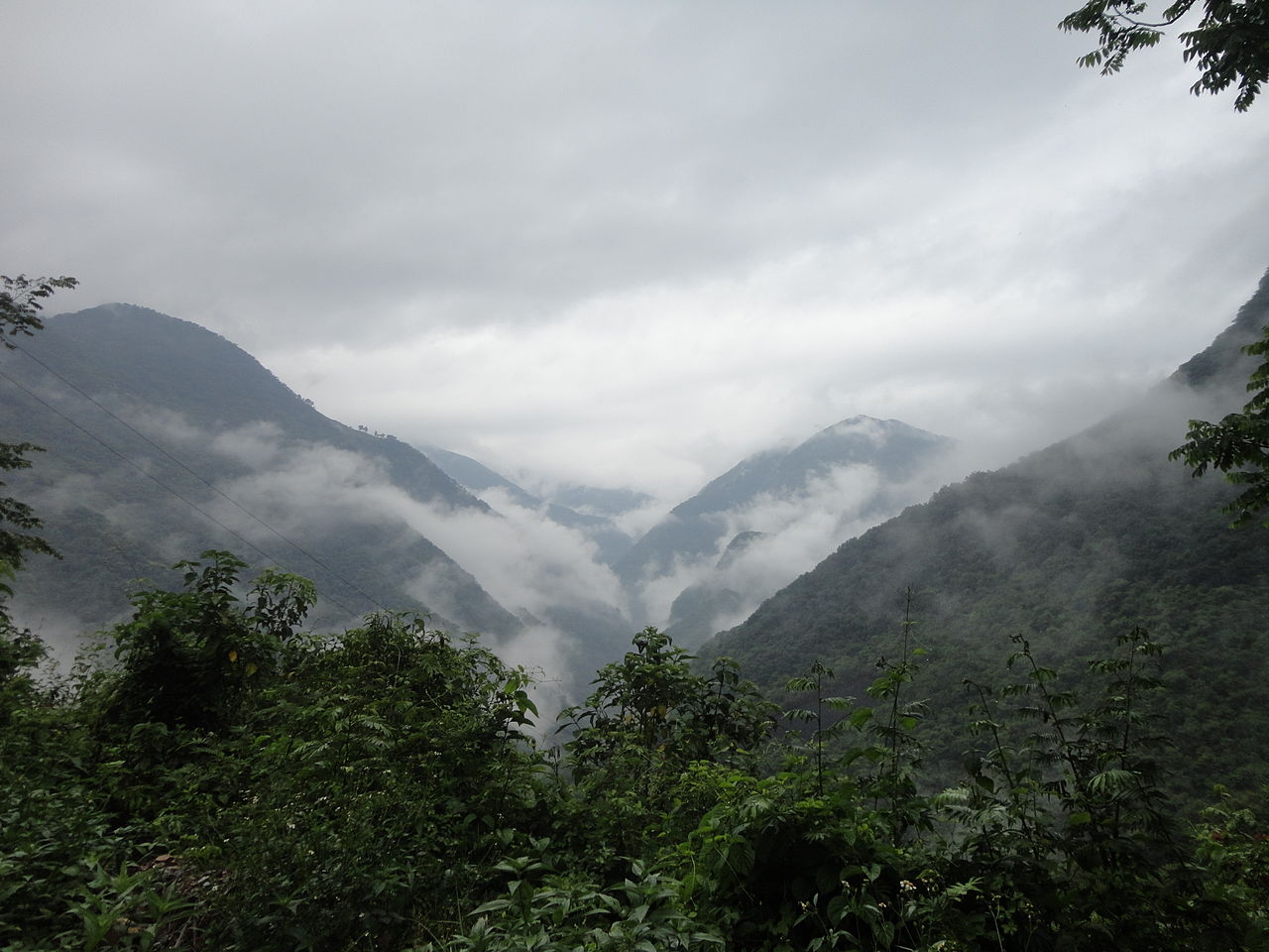 Veracruz Montane Forests One Earth