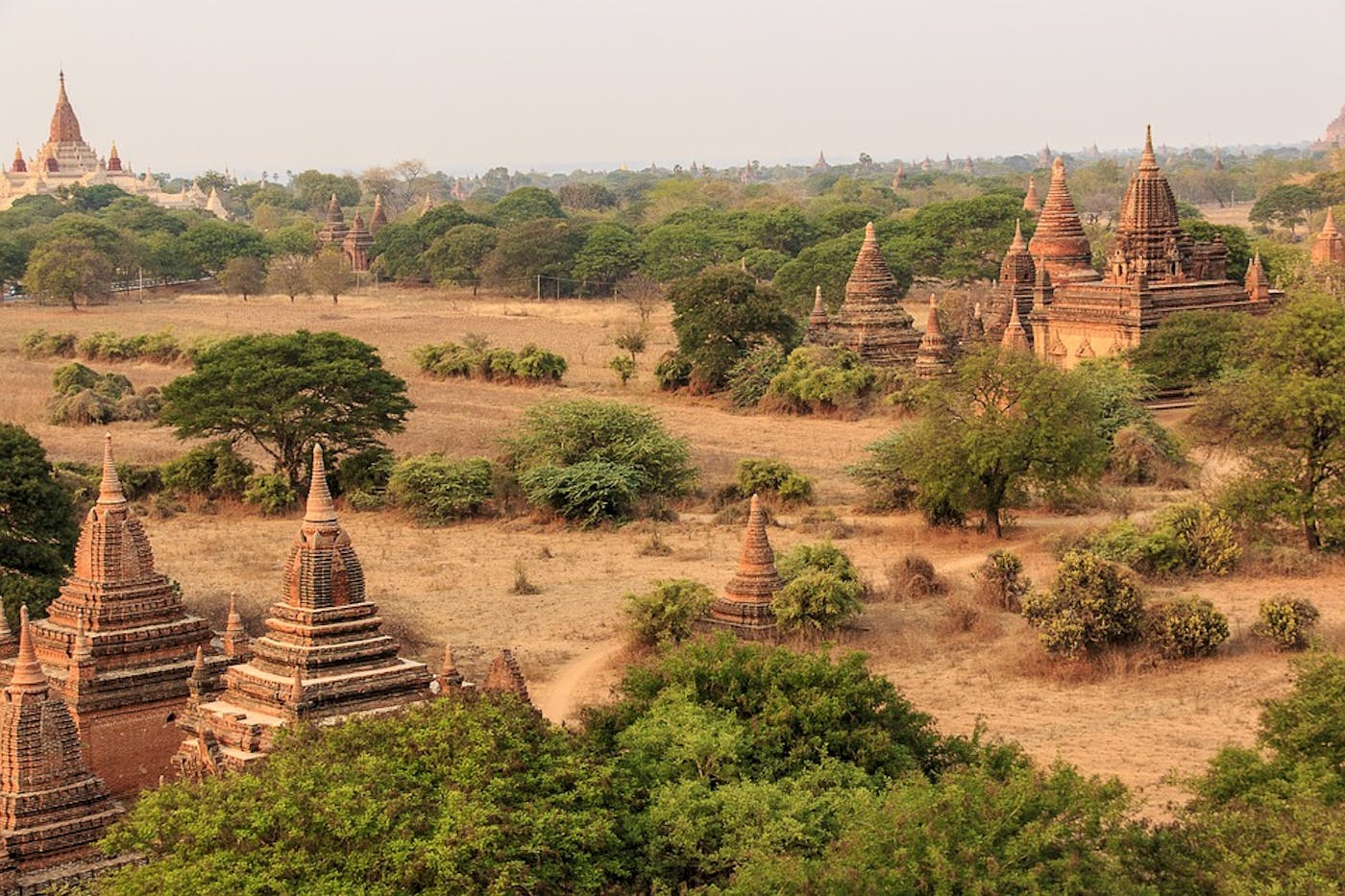 Irrawaddy & North Indochina Mixed Forests (IM11)