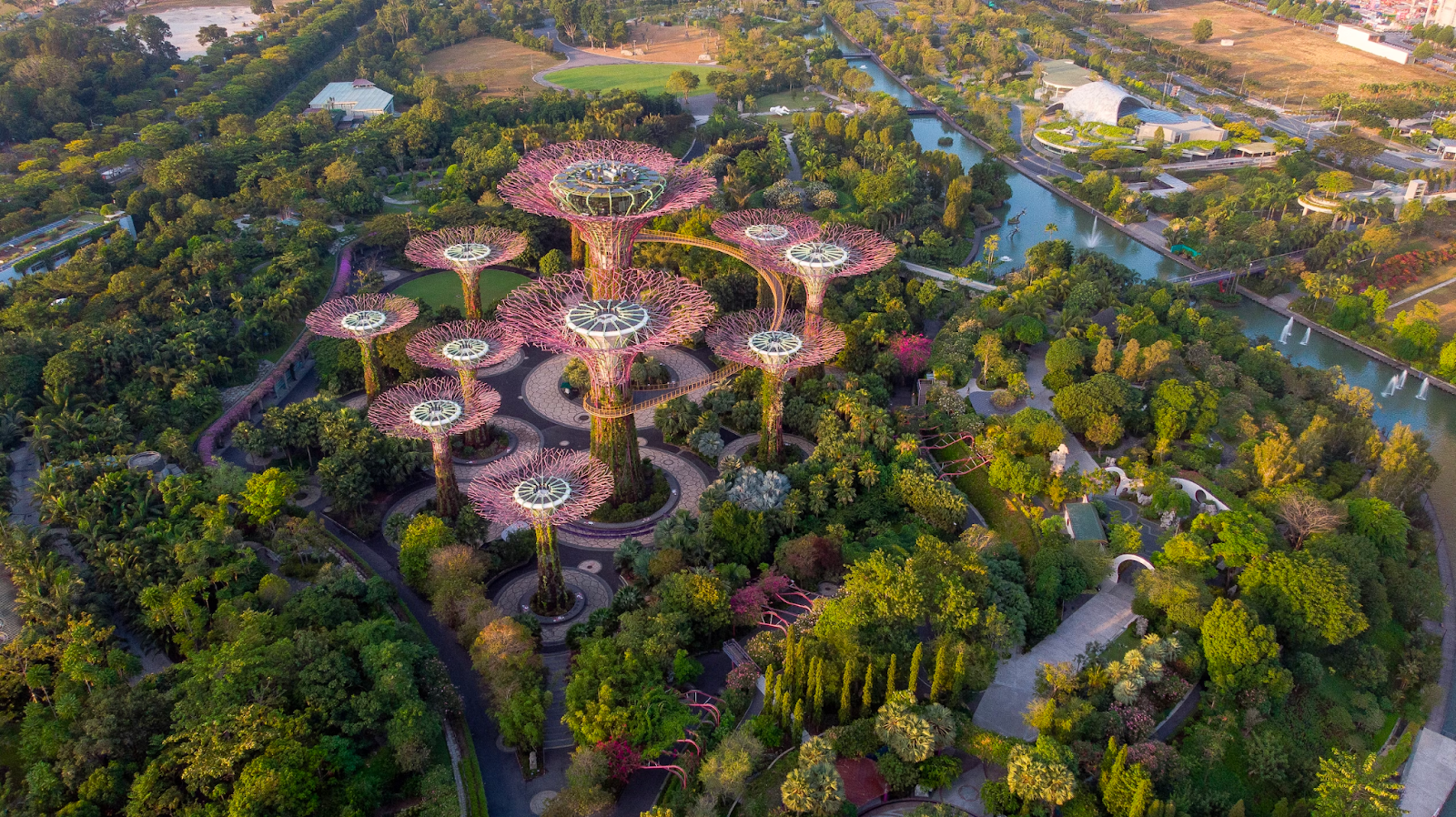 Gardens By the Bay, Singapore Image Credit: Sergio Sala on Unsplash