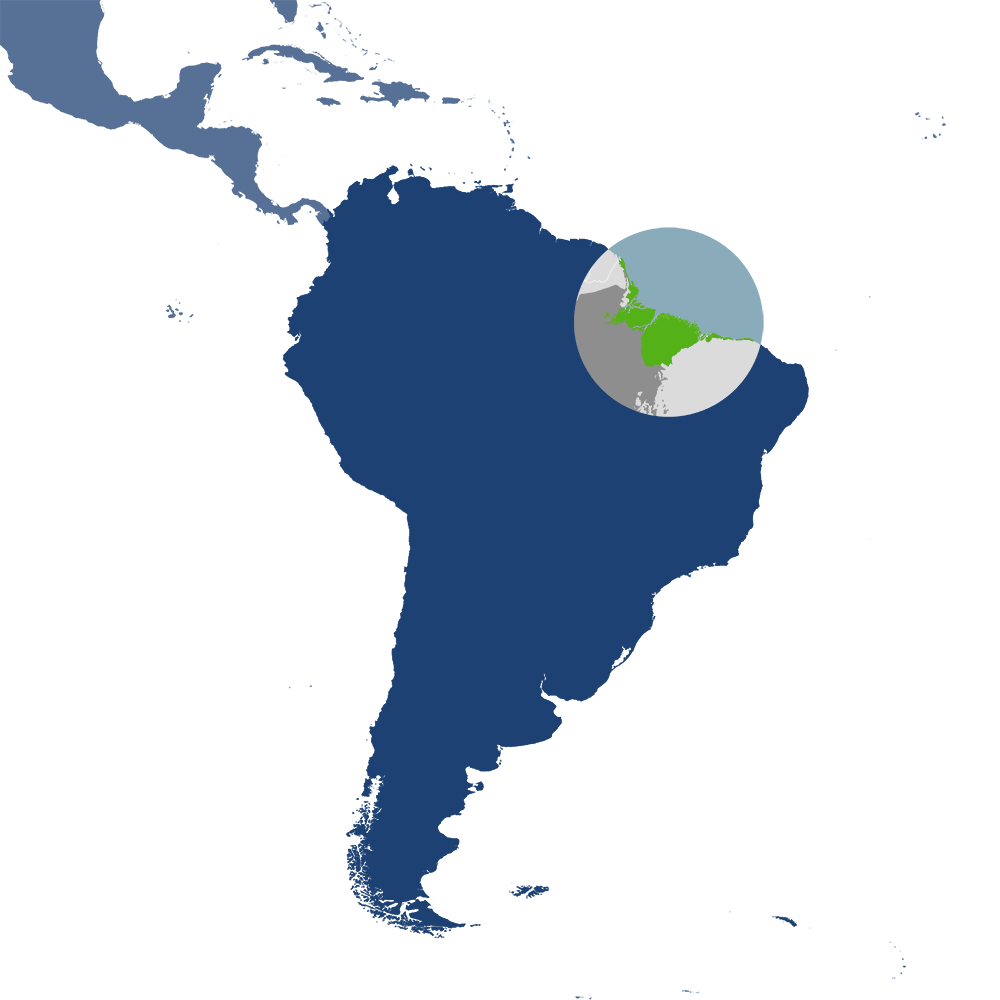 The Amazon River Estuary bioregion (NT16), located in the Amazonia subrealm of Southern America.