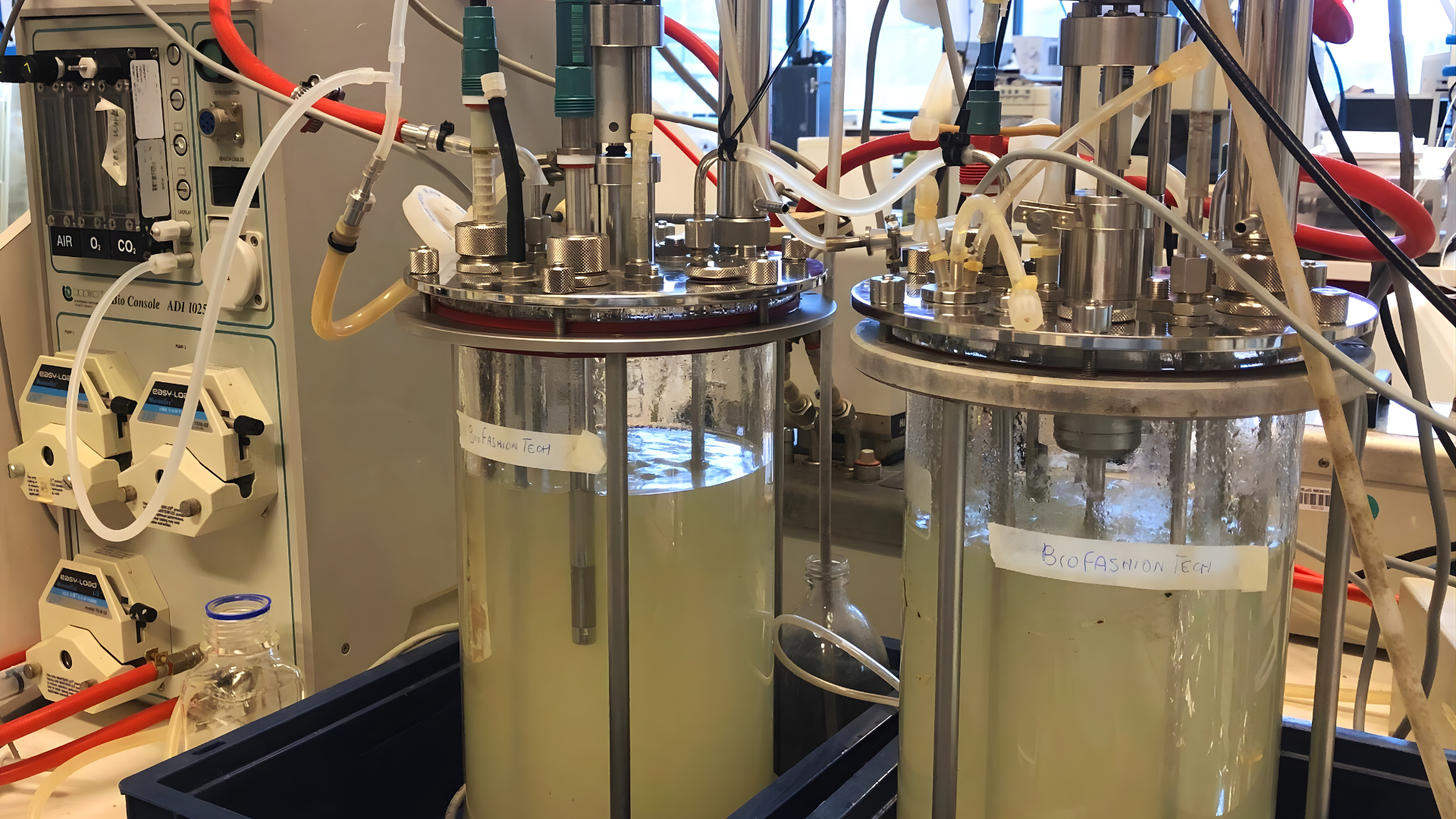 As part of the Netherlands pilot, bacterial fermentation transforms sugars recovered from old textiles into biodegradable PHA bioplastics. Photo by Fabiola Polli from BioFashionTech.