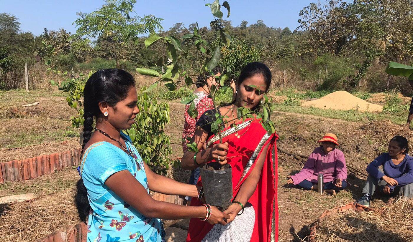 Empowering Indigenous Women by Regenerating the Lands of Western Maharashtra