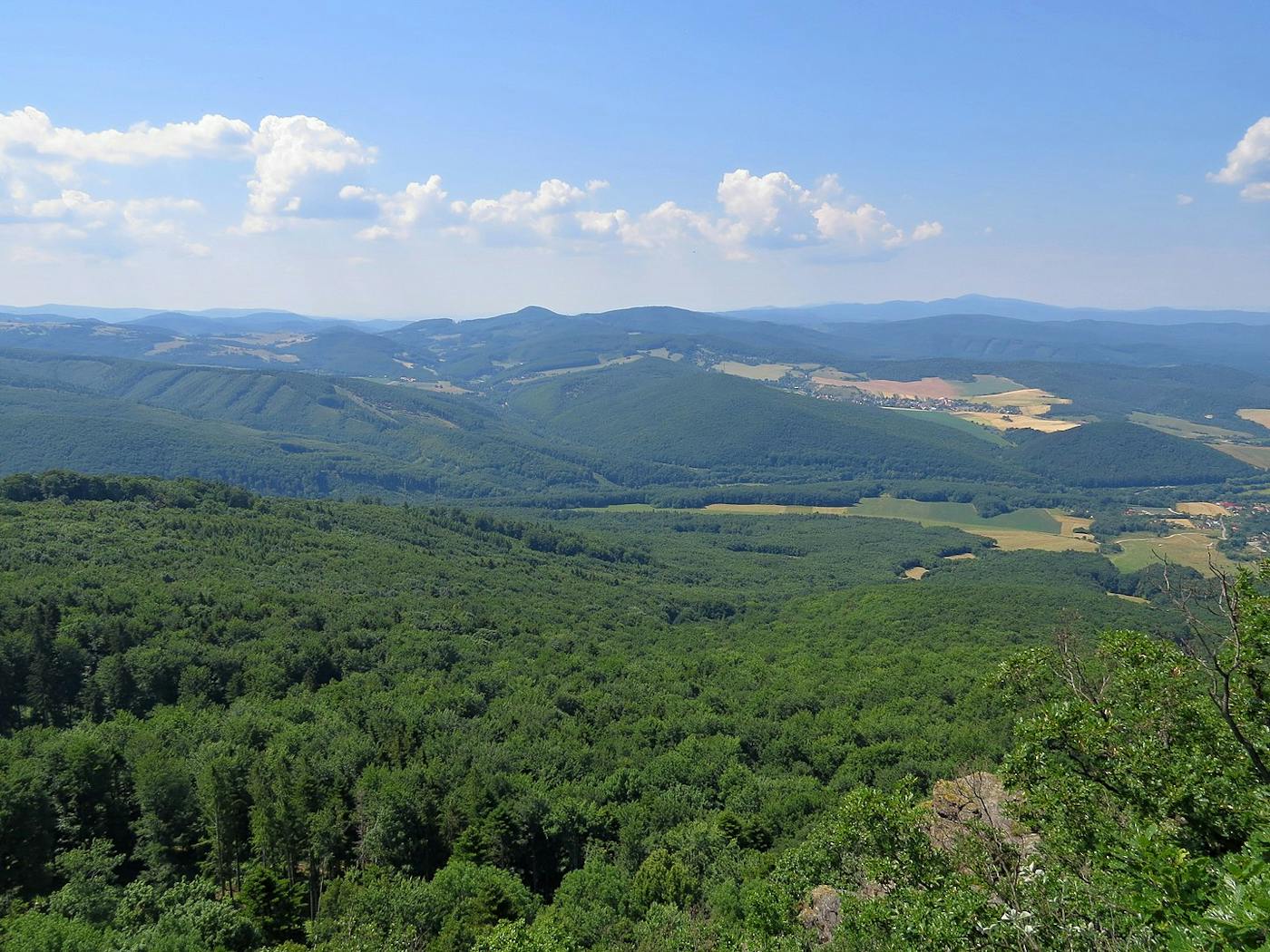 Carpathian Mountain & Plains Mixed Forests (PA14)