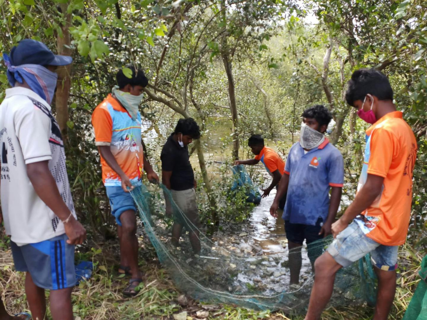 How an Indigenous campaign is protecting India’s mangroves from vanishing