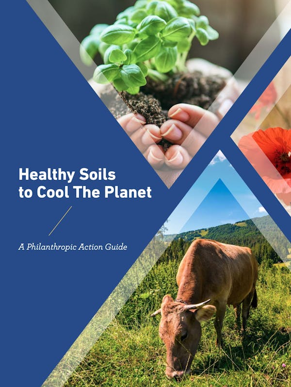 Healthy Soils to Cool The Planet