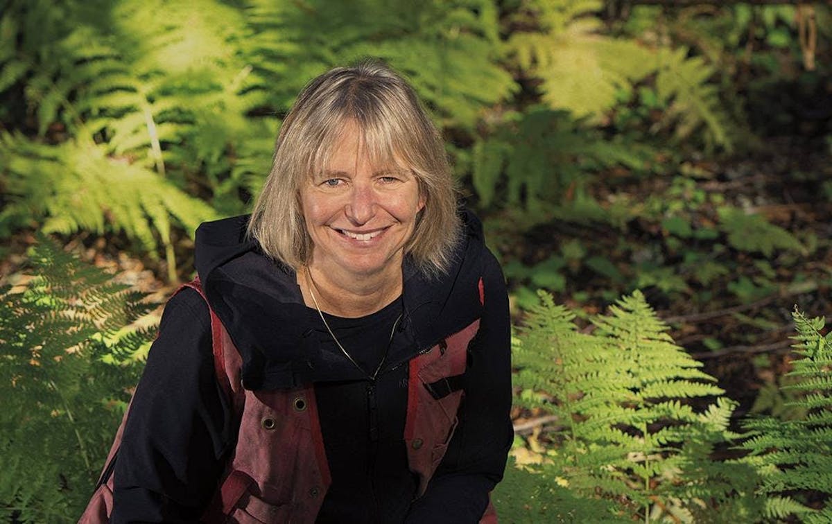 Environmental Hero: Suzanne Simard