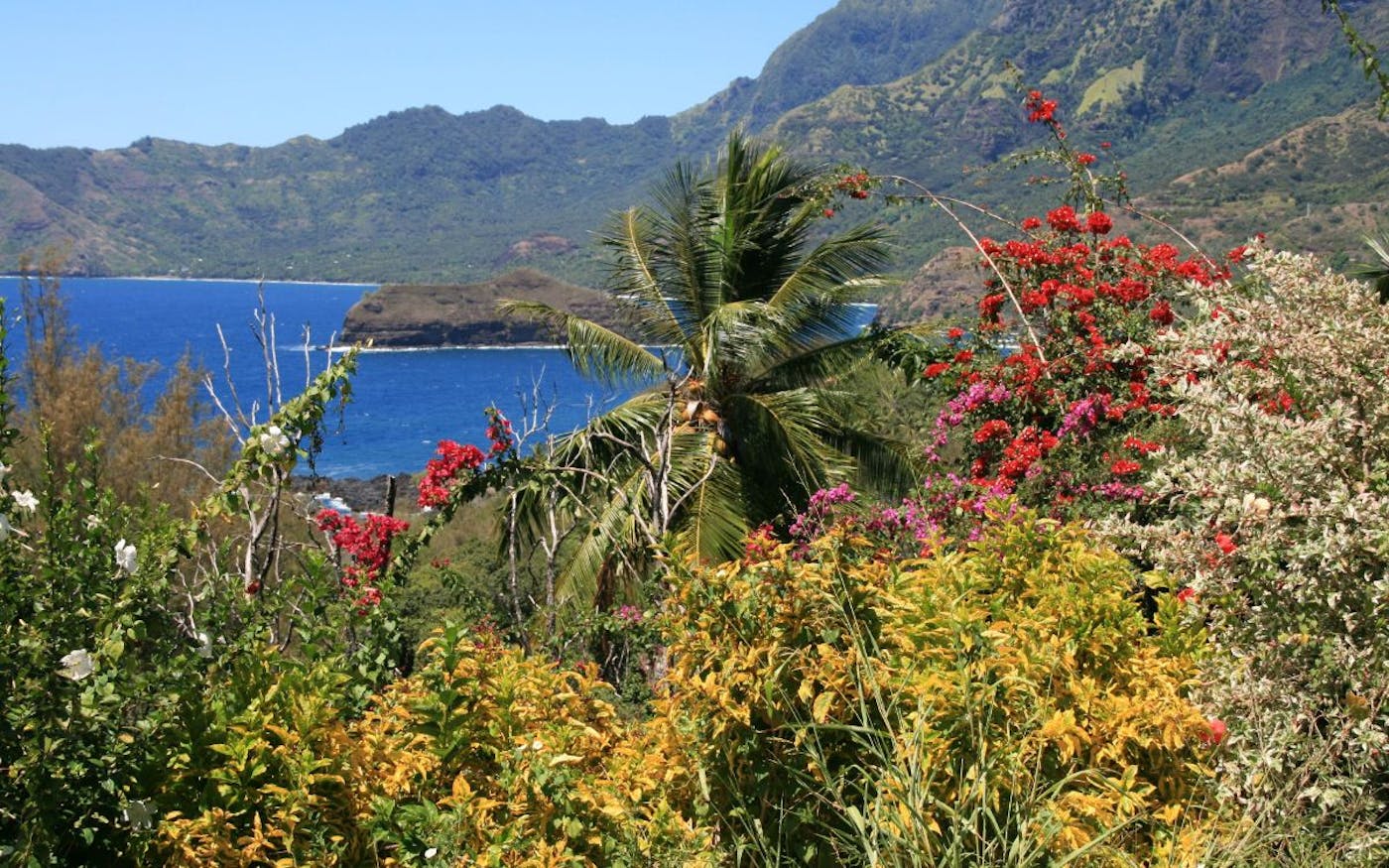 Marquesas Tropical Islands (OC2)