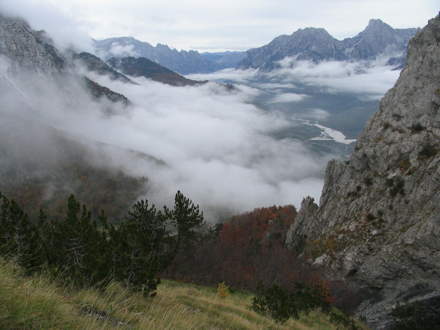 Dinaric Mountains & Balkan Mixed Forests (PA15)