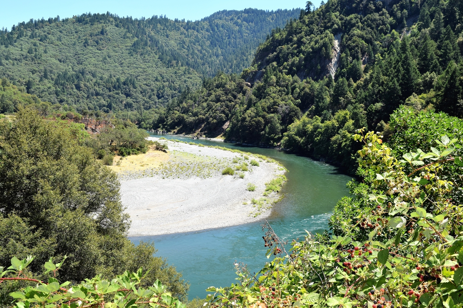 Thick green forest surrounds the curving Klamath River, Oregon. Image Credit: Rita Robinson | Dreamstime.com.