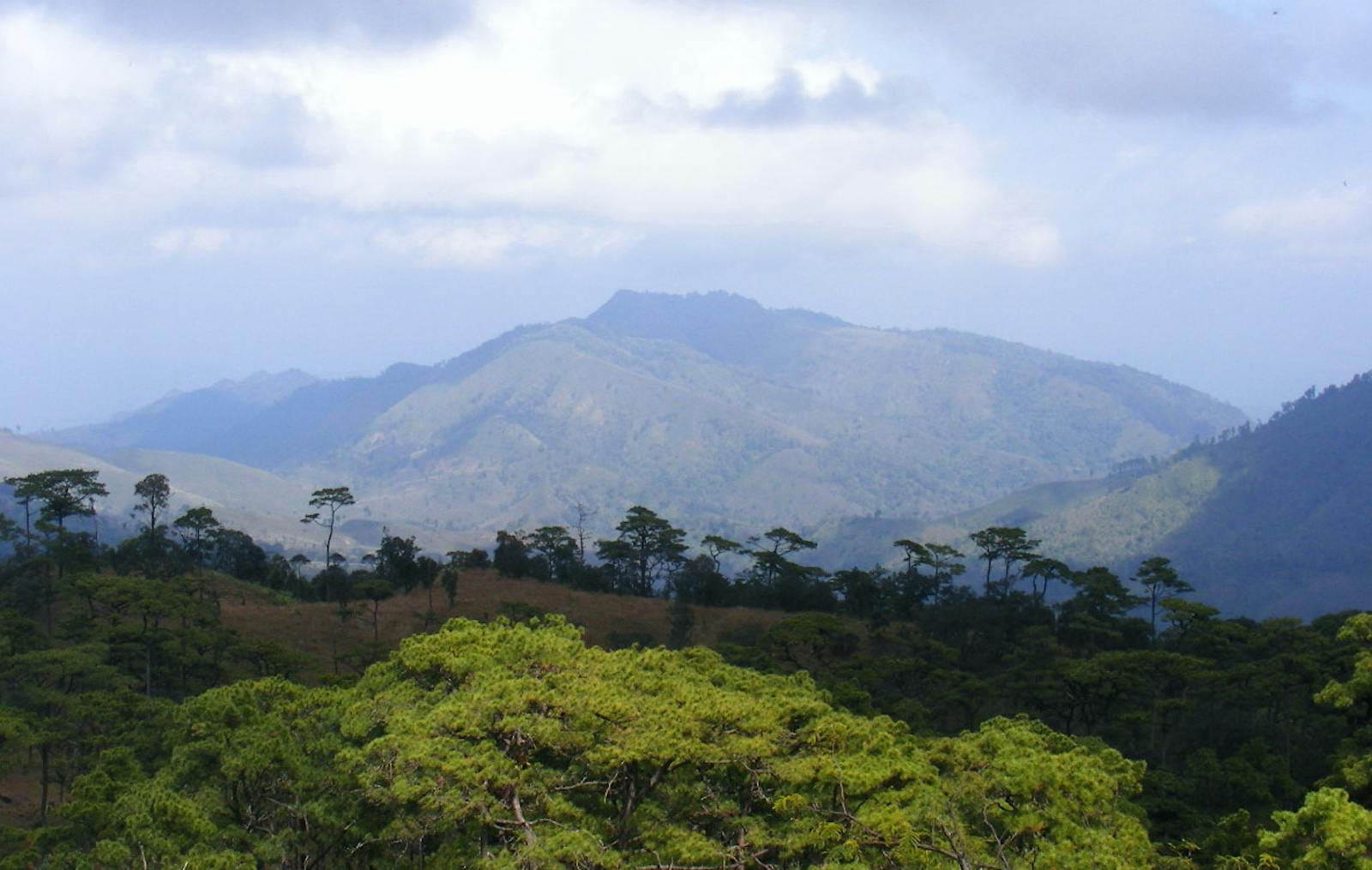 Luang Prabang Montane Rainforests